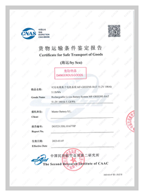 Certificate-Safe-Transport-Sea